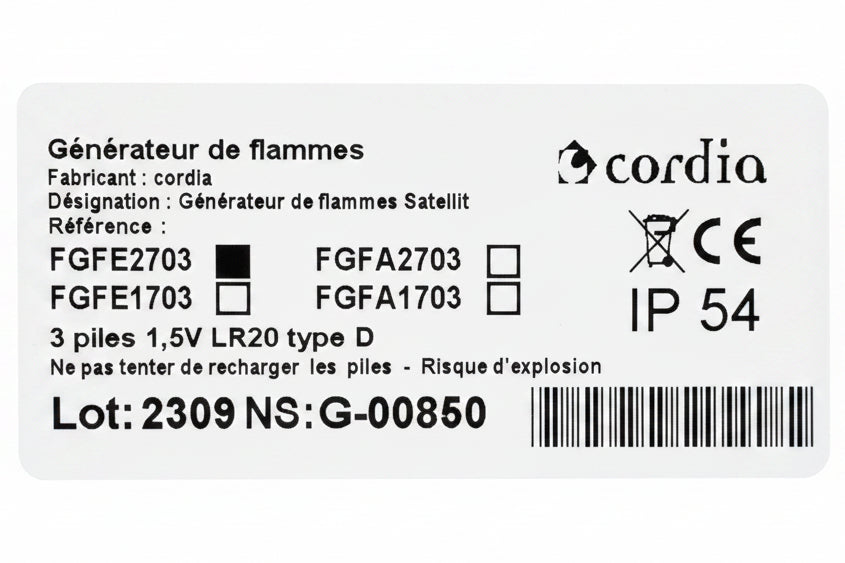 Kit d'allumage Cordia Satellit reconditionné (FGFE2703) — Boîtier + Électrovanne sécurité + Télécommande